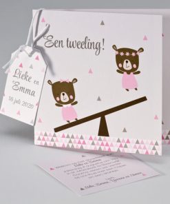 Tweeling geboortekaart meisje/meisje