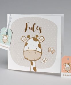 Geboortekaart met beige giraf en gekleurde labels