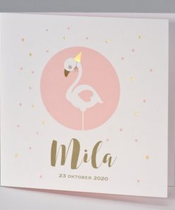 Pink flamingo met confetti