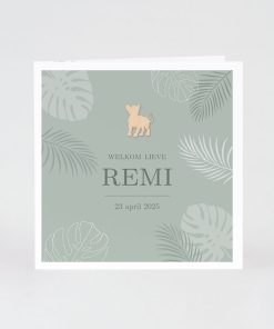 Mix and match geboortekaart junglethema - groen