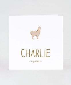 Wit blanco geboortekaartje in luxe papier - Mix and match