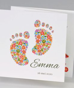 Drieluikje met kleurrijke voetjes