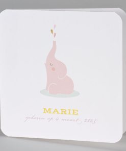 Geboortekaartje met roze olifantje