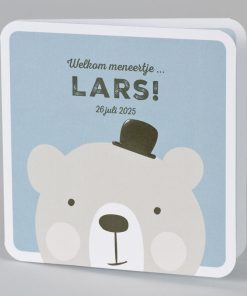 Geboortekaartje knuffelbeer met bolhoed