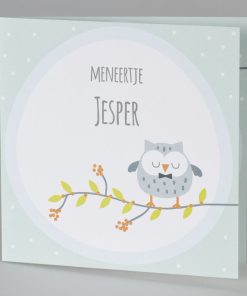 Geboortekaart meneer de uil in mint
