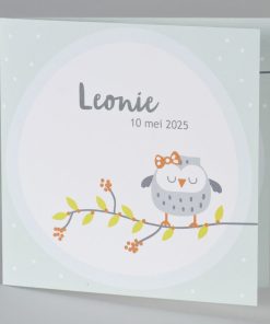 Geboortekaart juffrouw uil op mintgroen