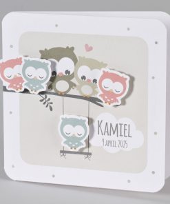 Geboortekaart famile uil