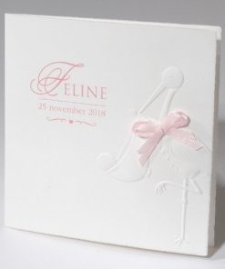 Geboortekaartje 'ooievaar in relief'