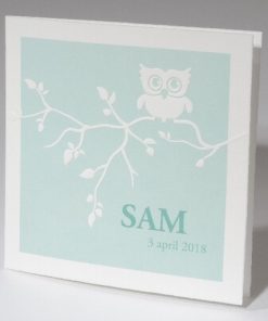 Geboortekaartje uil op boomtak