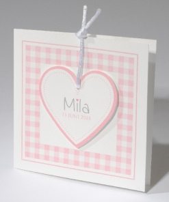 Geboortekaartje 'hart aan touwtje'