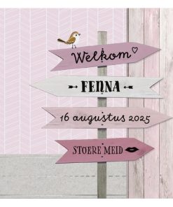 Geboortekaartje - Roze wegwijzers