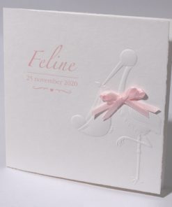 Geboortekaartje 'Ooievaar in relief'