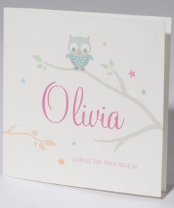 Geboortekaartje 'Blauw uiltje op tak'