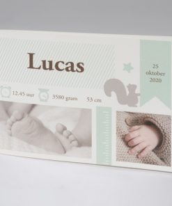 Geboortekaartje Lucas