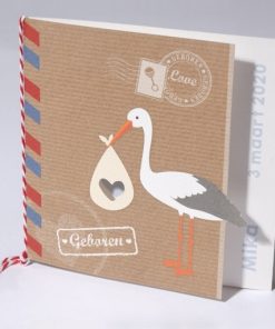 Geboortekaartjes ooievaar