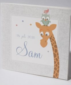 Geboortekaartjes giraffe