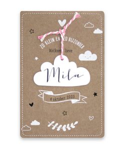 Geboortekaartje