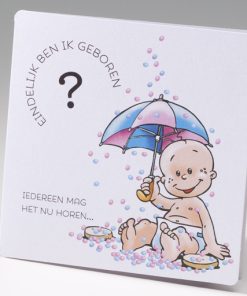 Beschuit met muisjes - Geboortekaartje