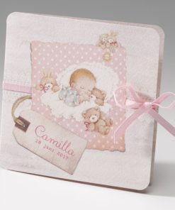 Geboortekaartje - Knuffels