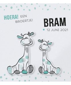 Geboortekaartje - Girafje